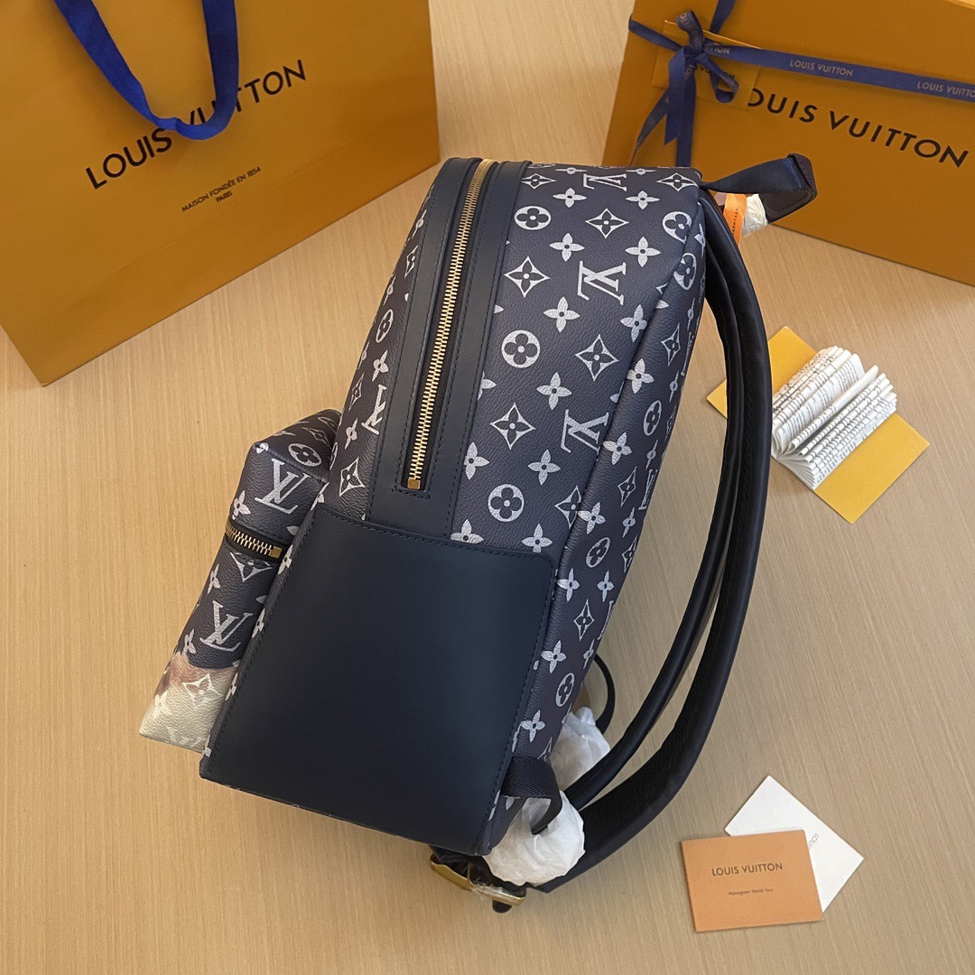 L*ouis V*uitton Top Bag