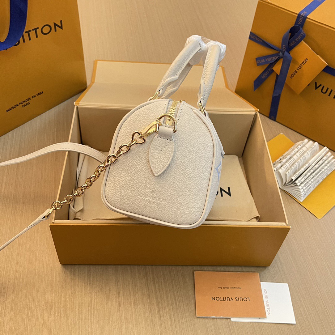 L*ouis V*uitton Top Bag