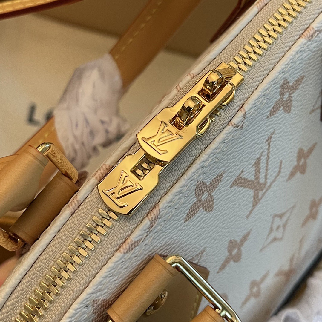 L*ouis V*uitton Top Bag