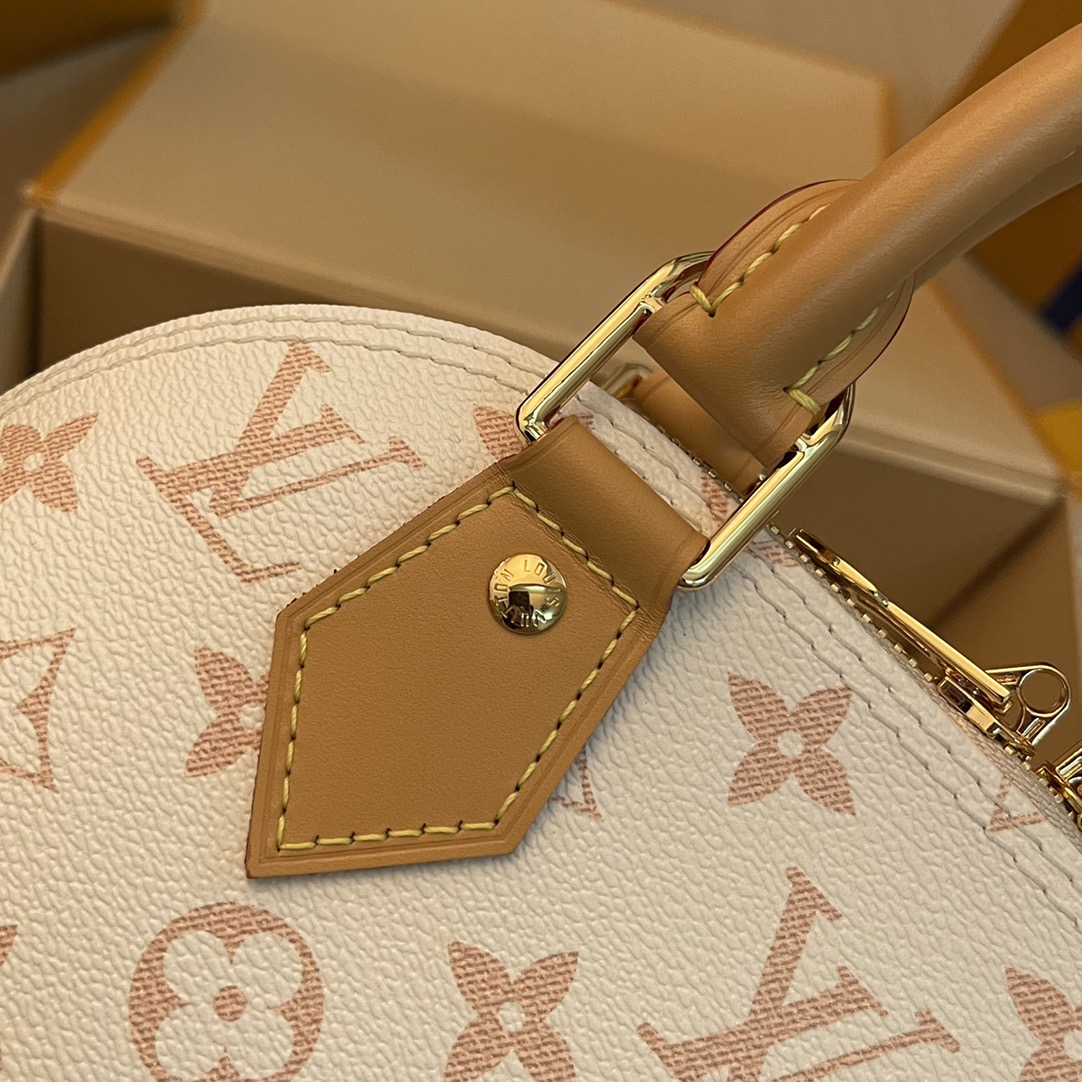 L*ouis V*uitton Top Bag